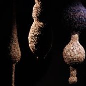 © Aline Chapperon / Lillico