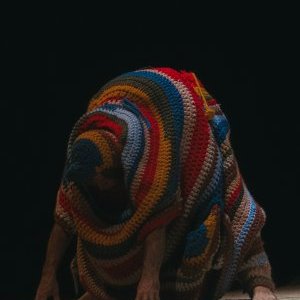 Panoramique n°3 - GROS CÂLIN